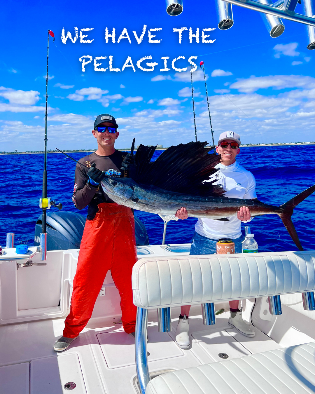 We have the pelagics